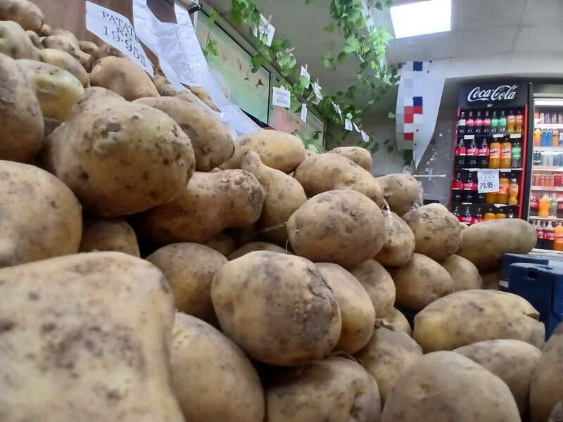 Patates Zamlandı
