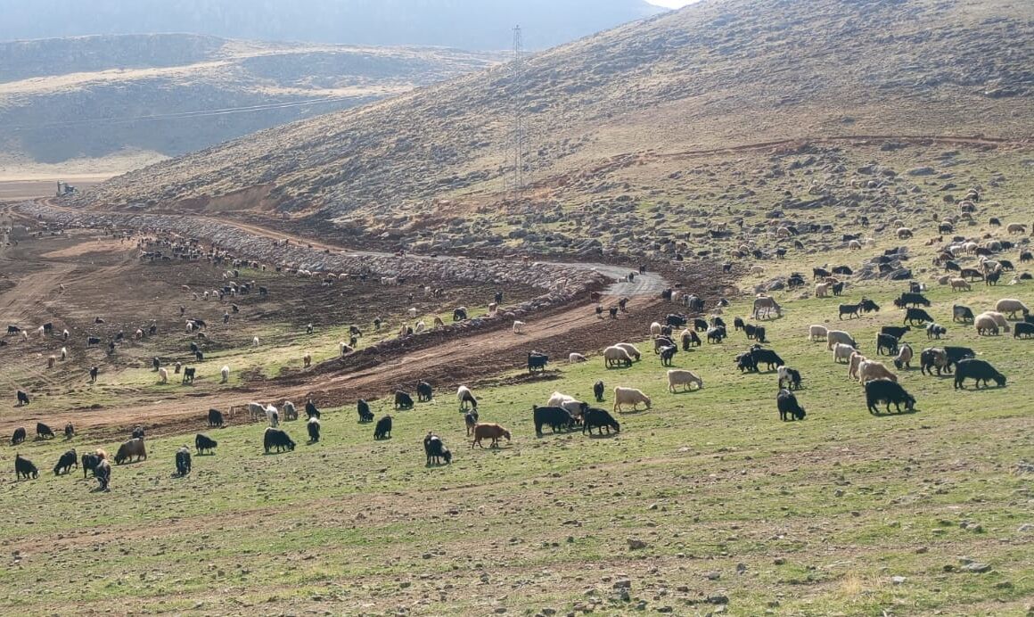 Zirin Gölü Taşkın Riskine Karşı Yeniden Güvenli Hale Getirildi (3)