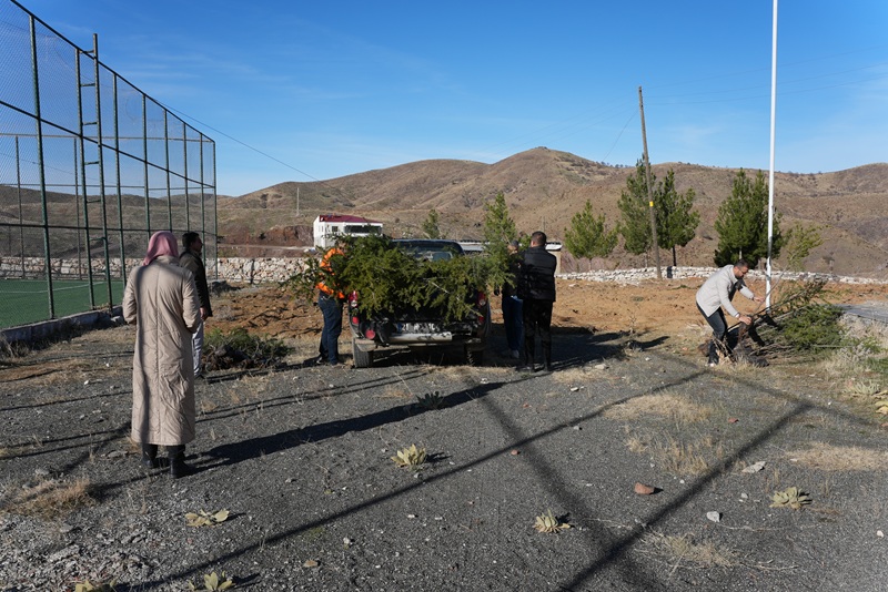 Ağaç Dikimi Ergani