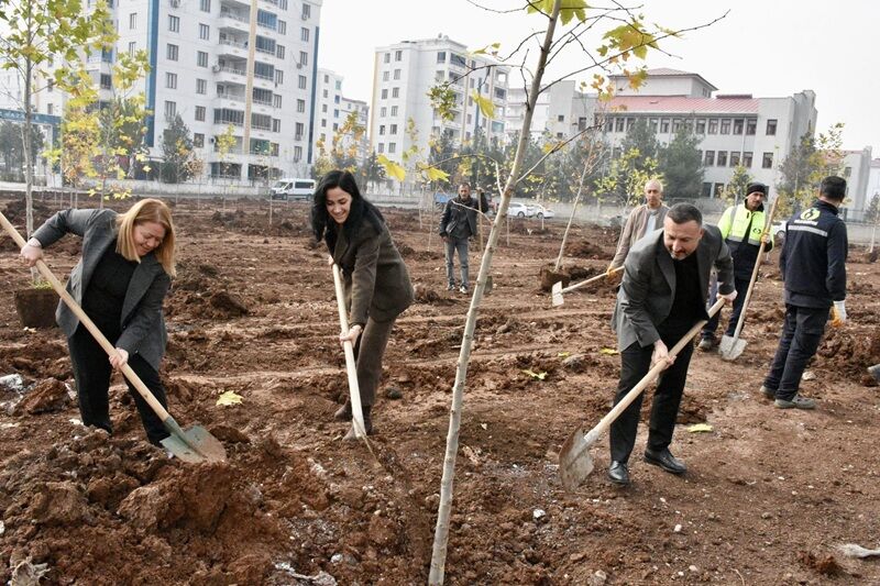 Ağaçlandırma Bağlar