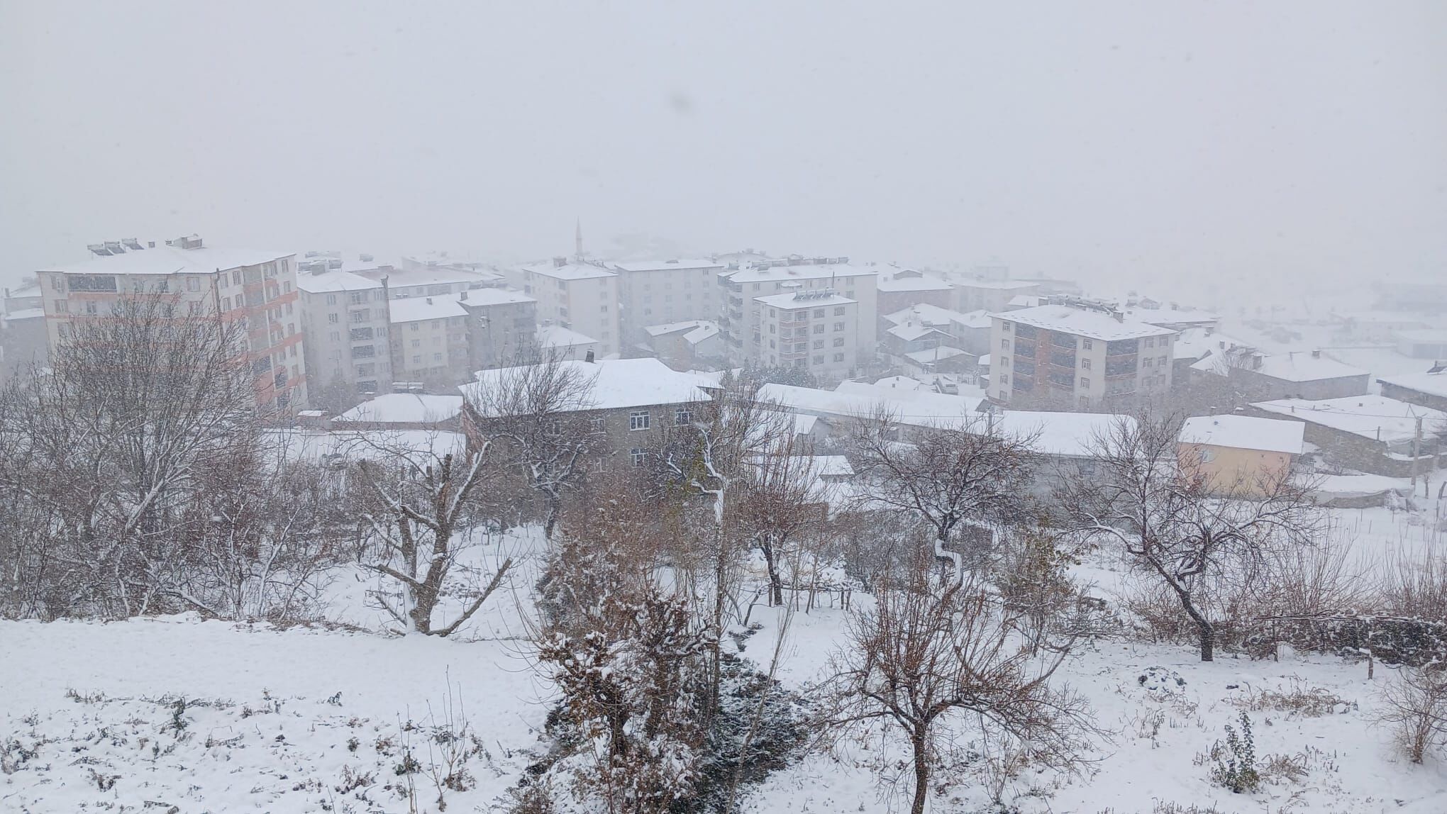 Kulp’ta Kar Alarmı İlçe Genelinde Hayat Durma Noktasına Geldi (1)