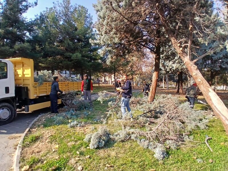 Park Ve Bahçe Budama