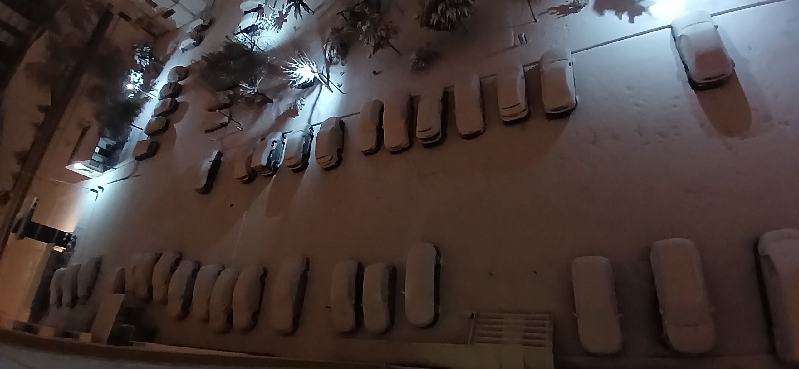 20260119 063826