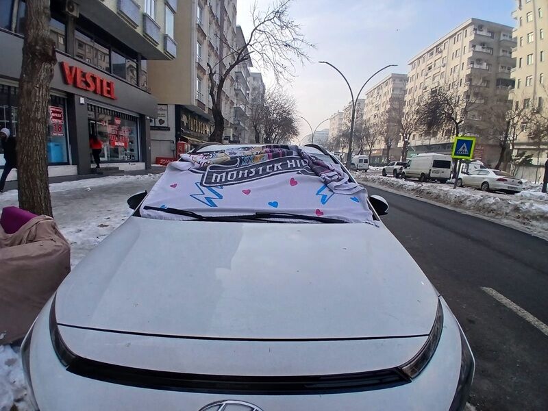 Buzlanma Araba Örtü