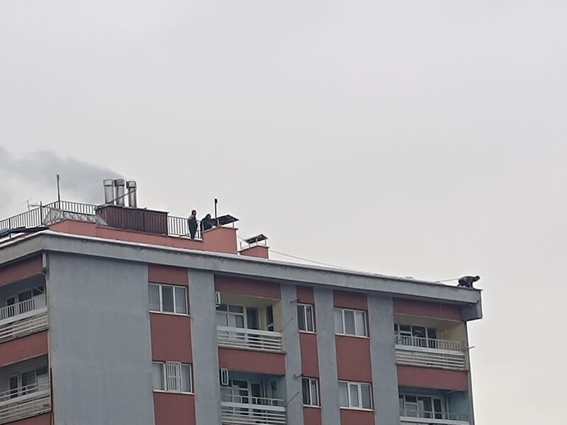 Çatı Temizliği