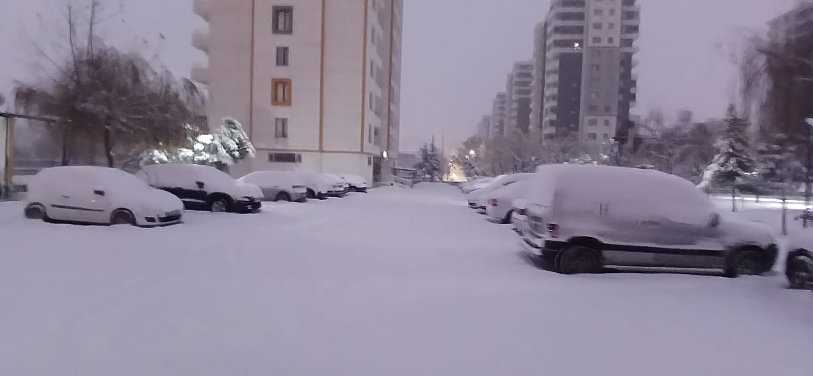 Diyarbakir Kar Yagisi (4)