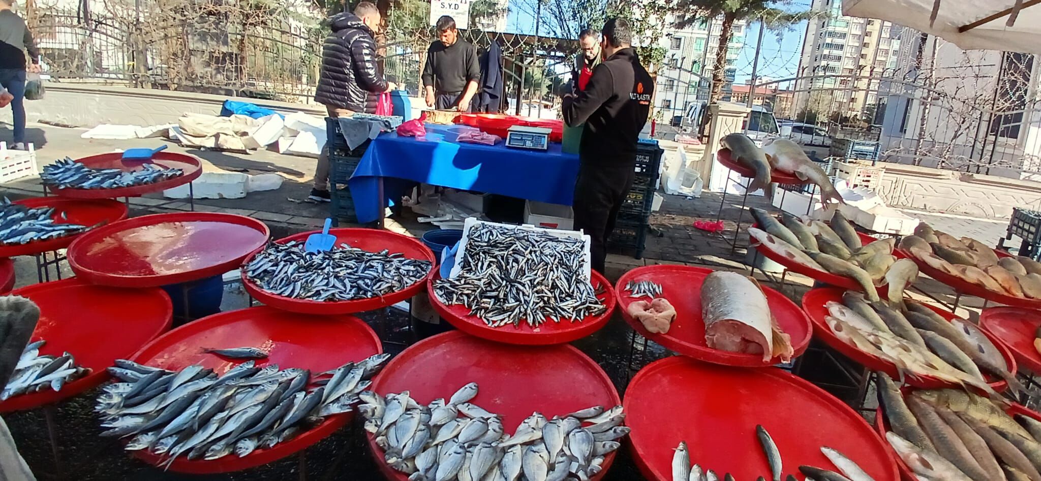 Balık Tezgahları (3)