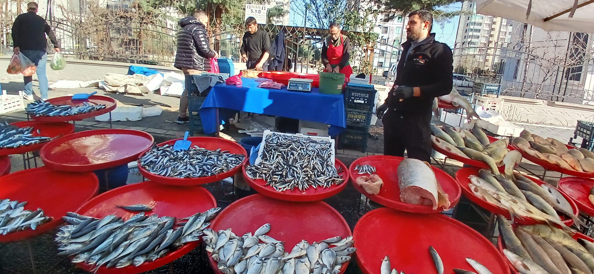 Balık Tezgahları (4)