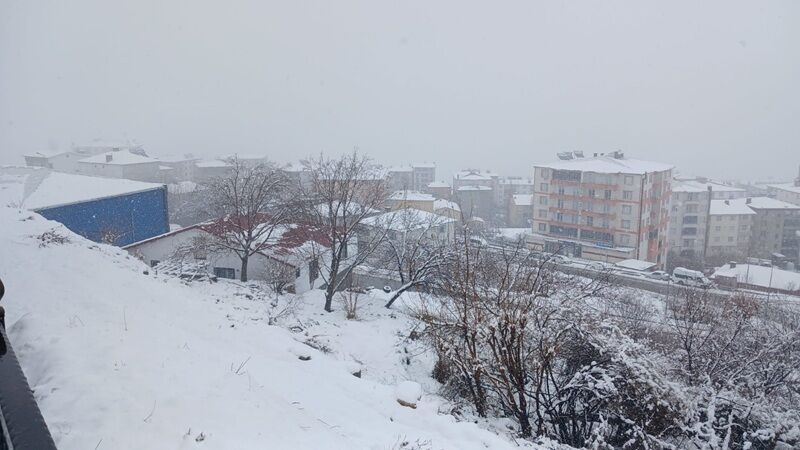Şubat Kar Kulp