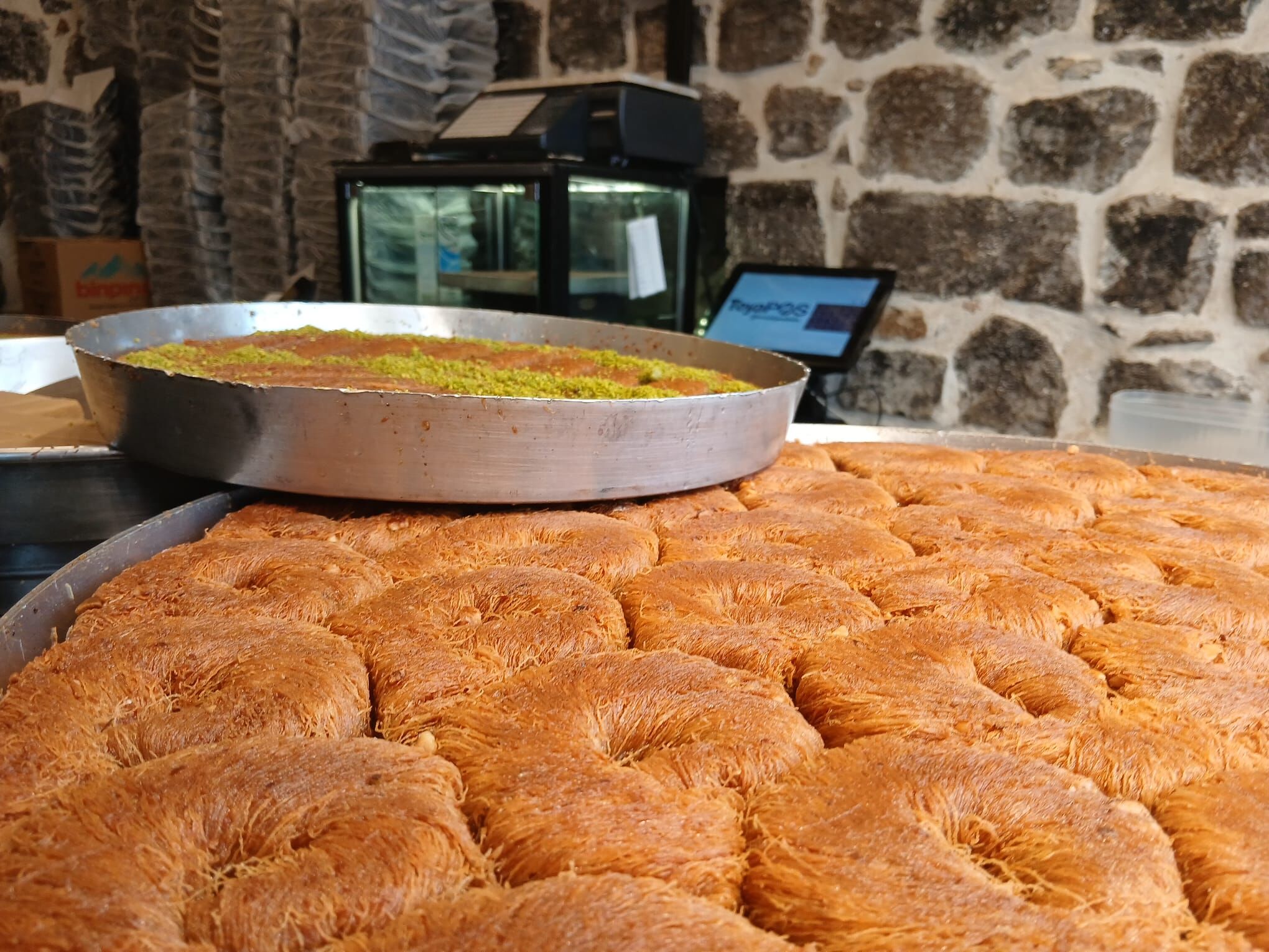 Tel Kadayif (2)
