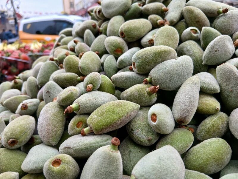Çağla