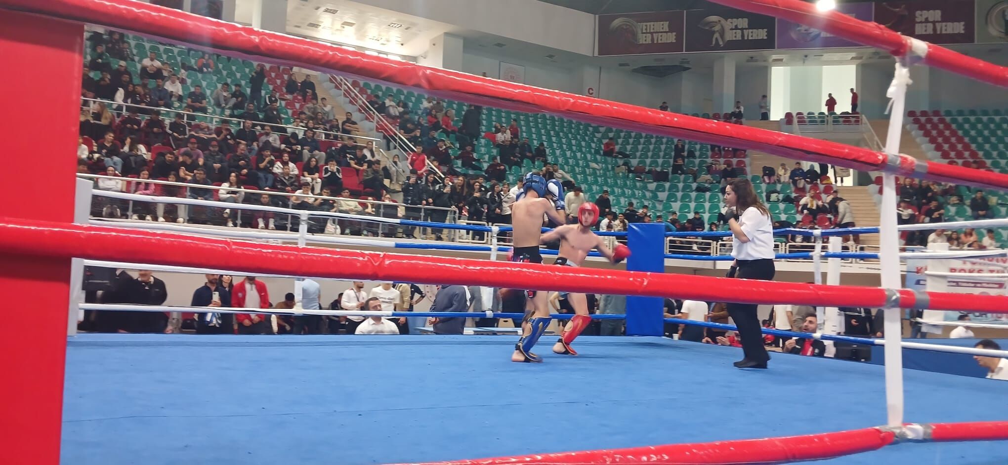 Kick Boks (4)