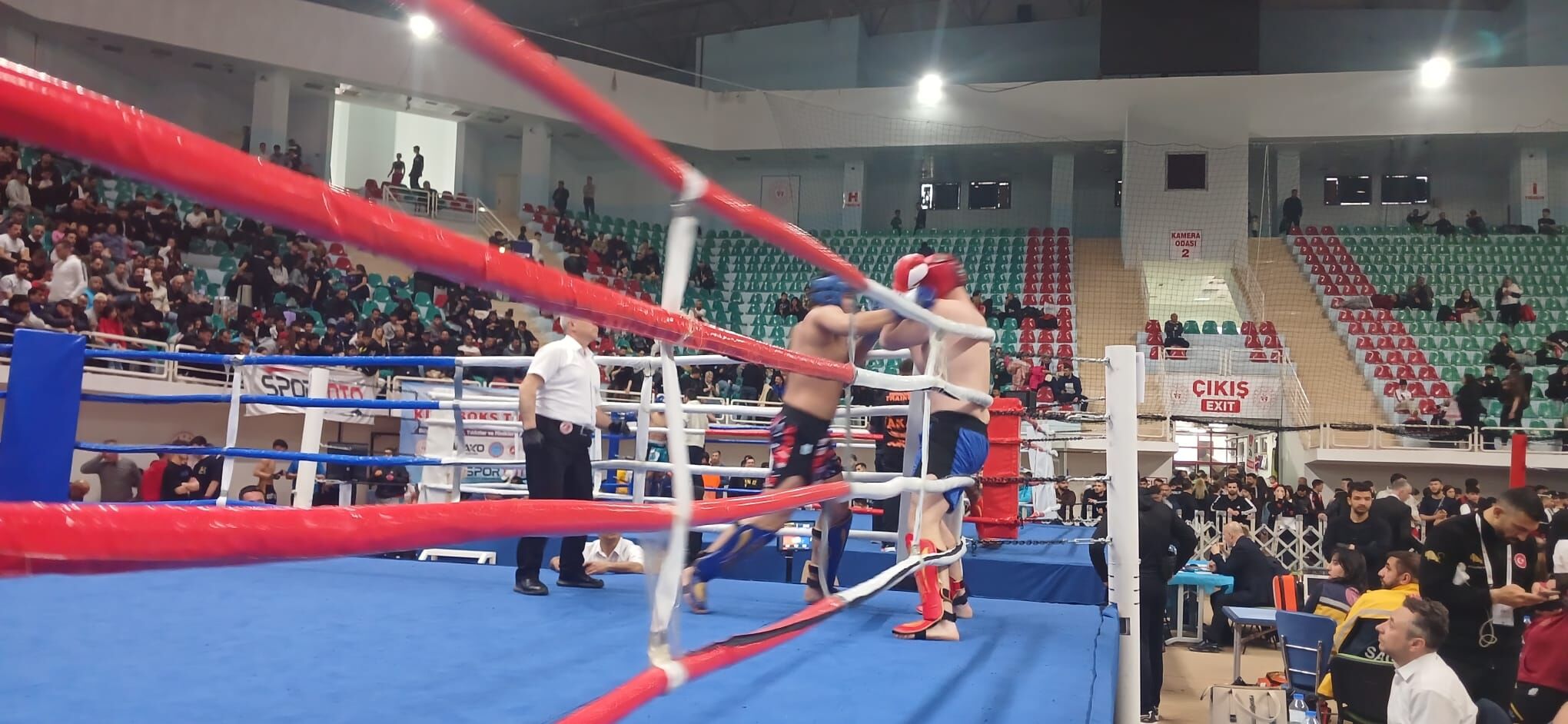 Kick Boks (8)