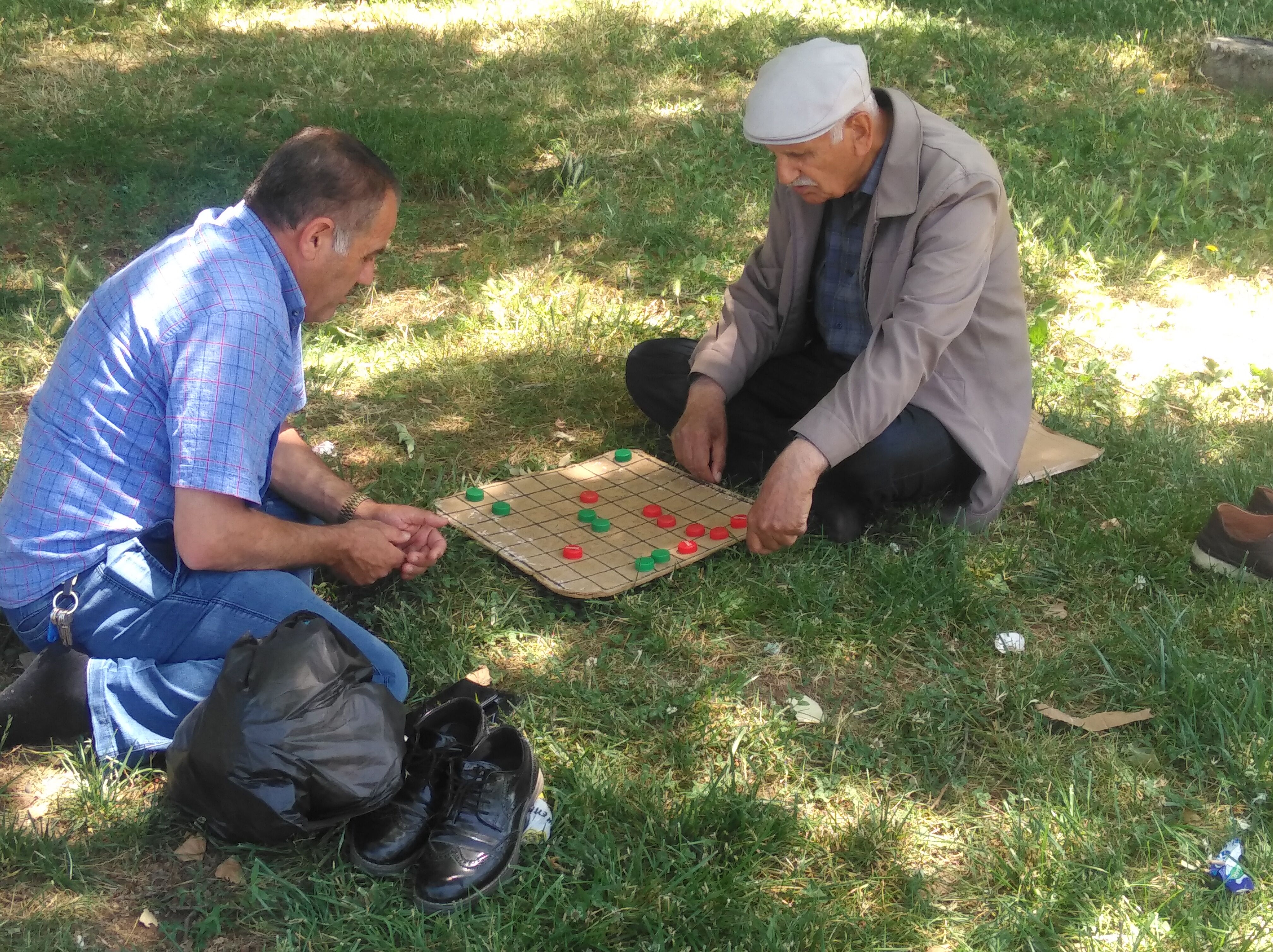 Sur Dipleri (6)