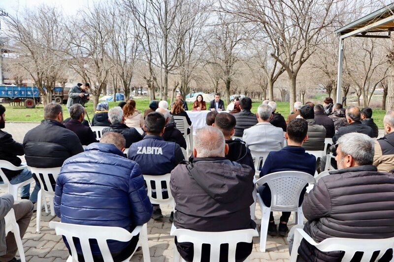 Sur Halk Buşulması
