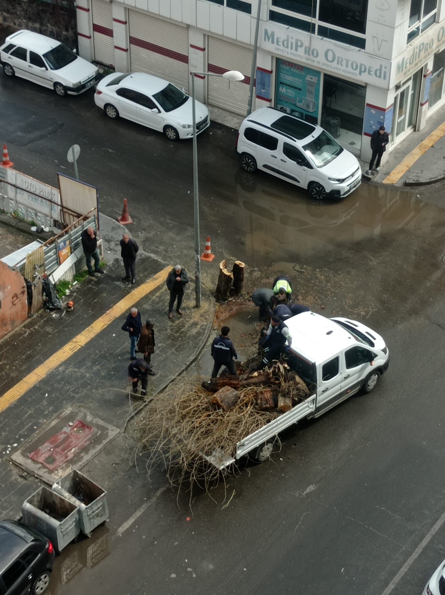 Yenisehir Agac Kesimi (2)