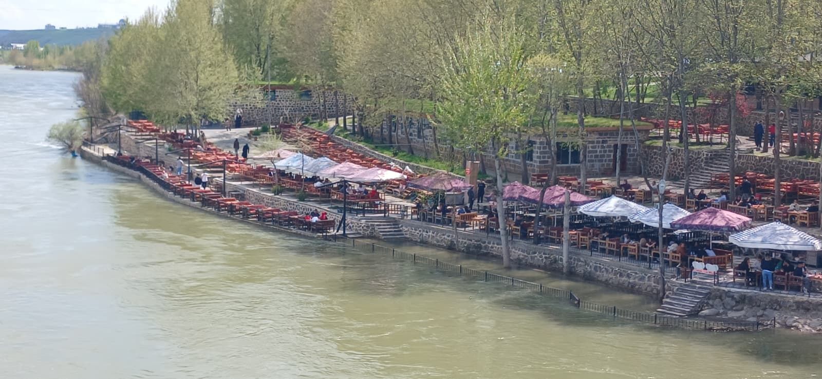 Dicle Nehri Kabardi (2)