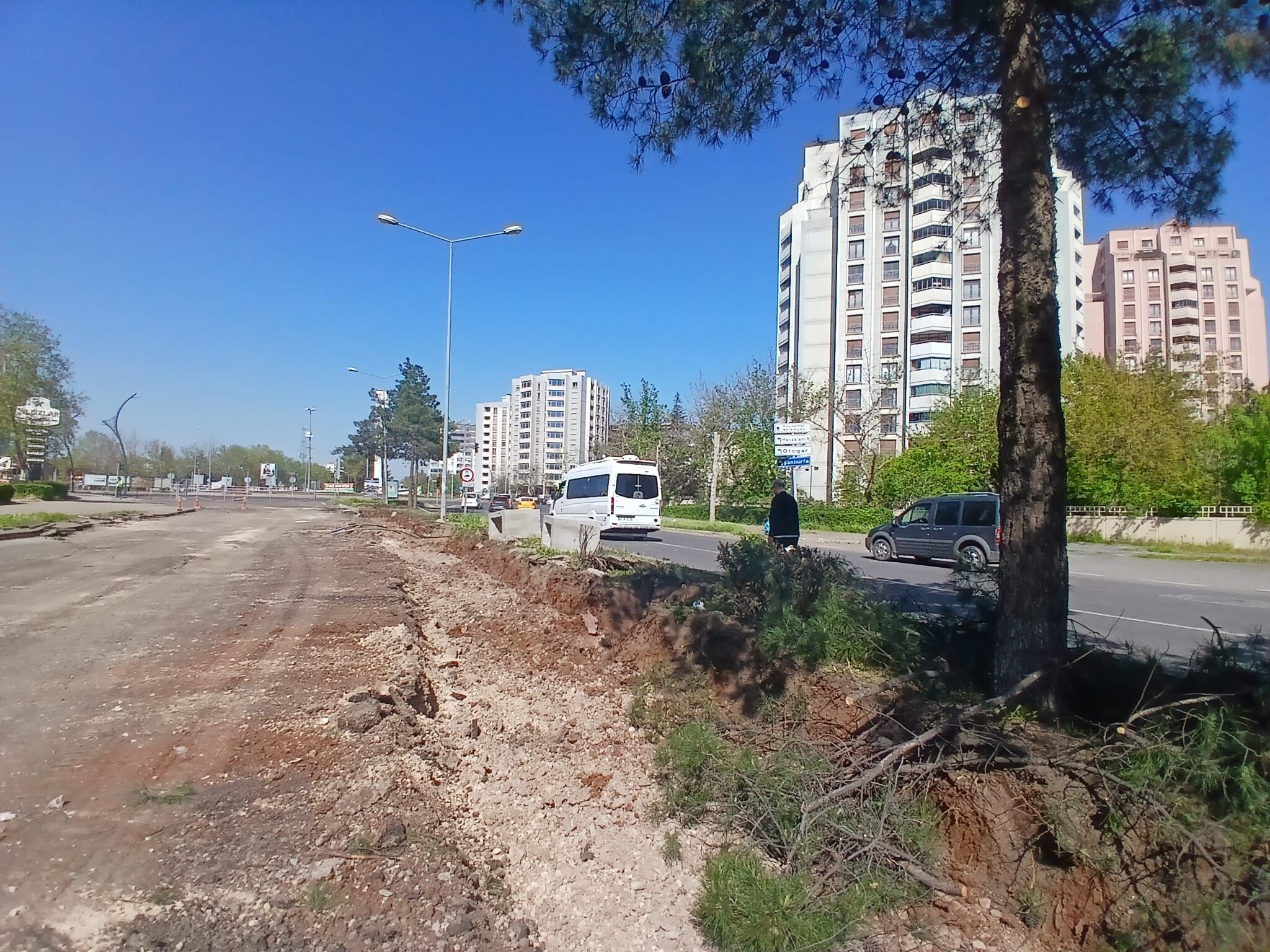 Agac Tartismalari (1)