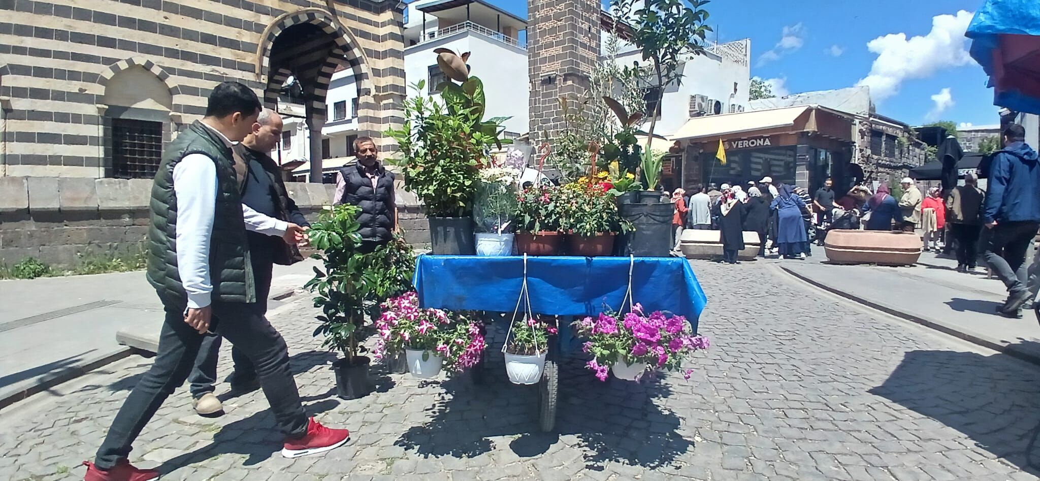 Balkon Cicekleri (2)