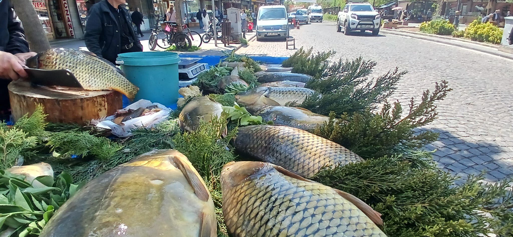 Cay Baligi (1)