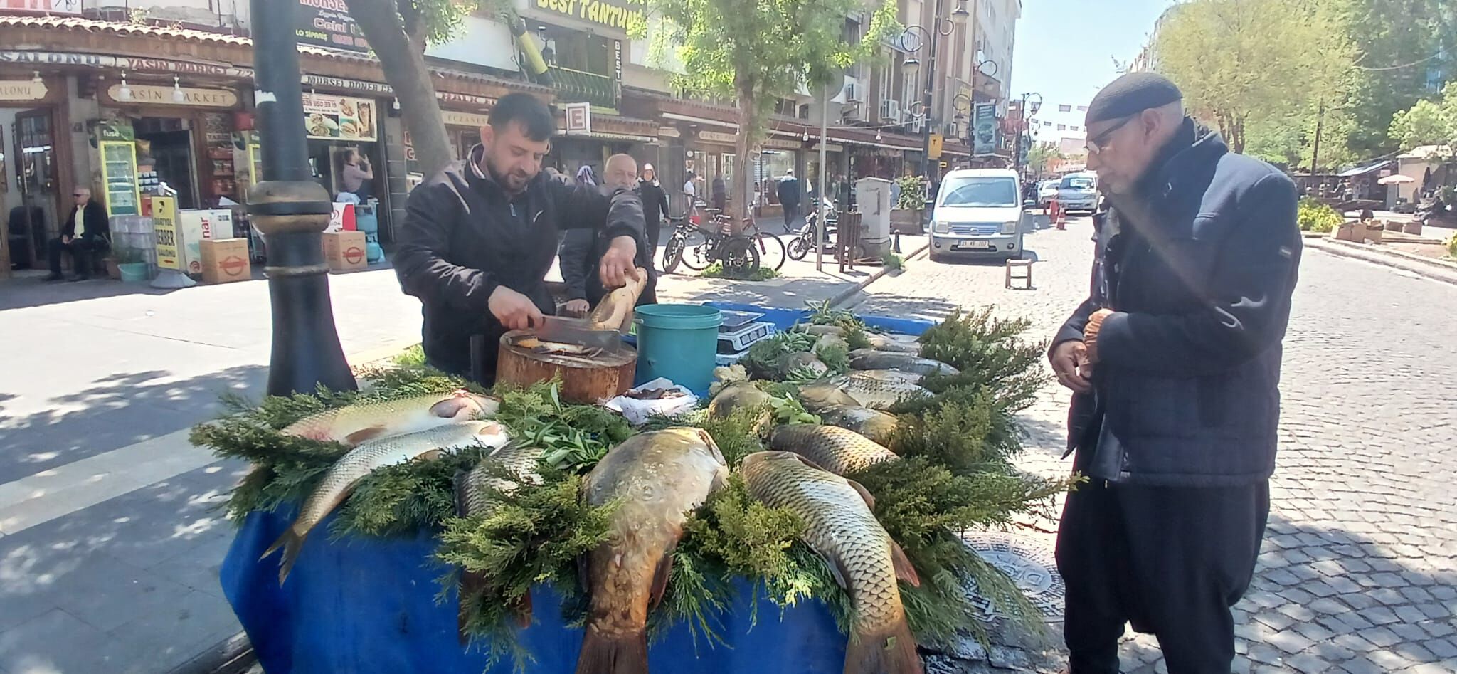 Cay Baligi (2)