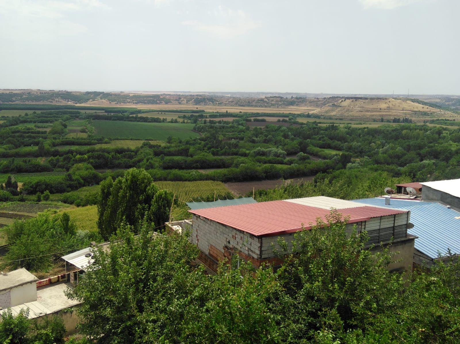 Hevsel Yesilin Her Tonuna Büründü (3)