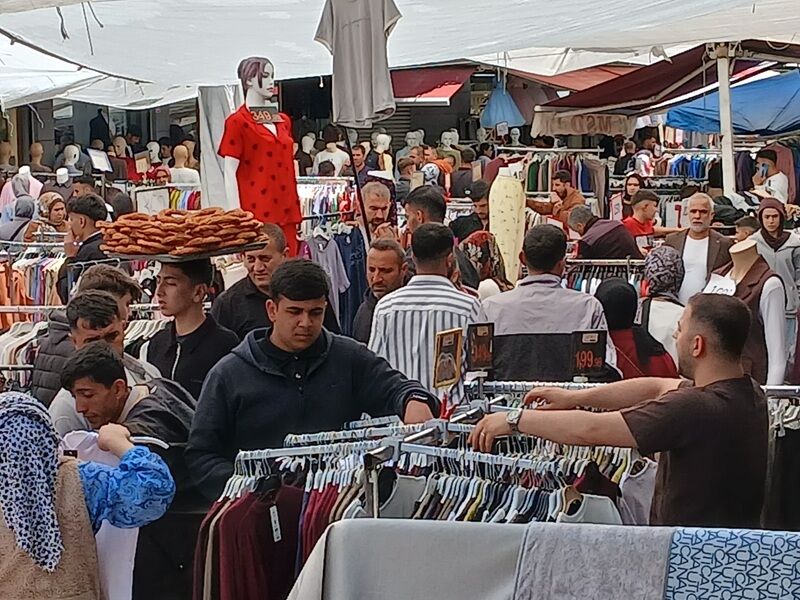 İnsanseli̇ Sakarya