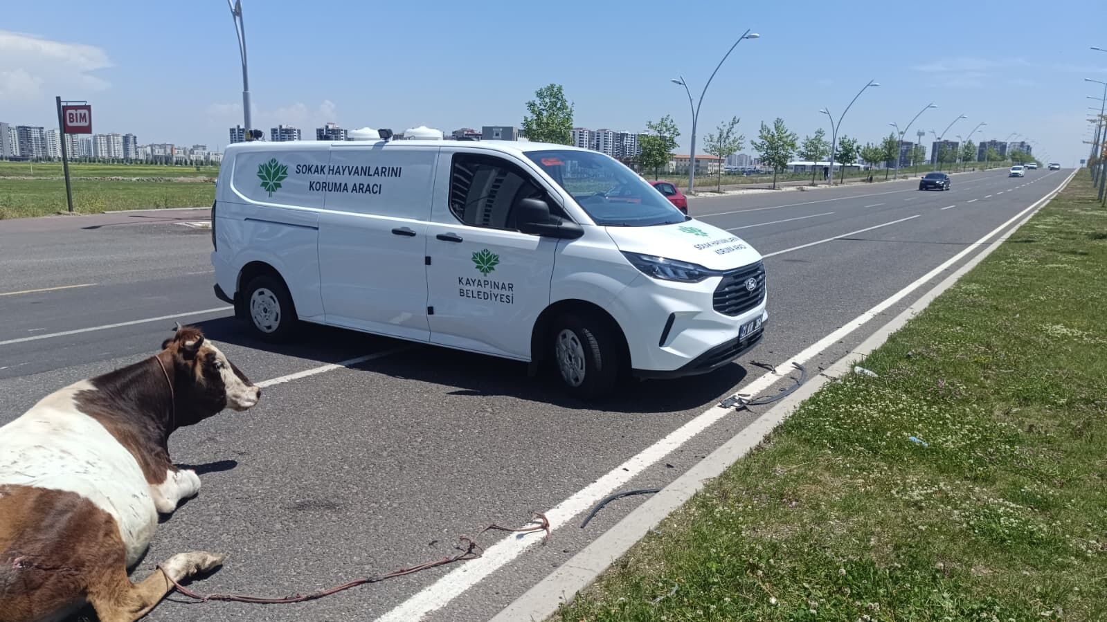 Kayapinar Veterinerlik Hizmeti (3)