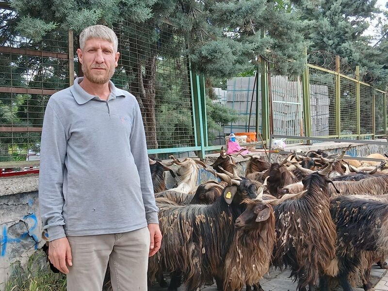 Krçi Kurbanlık