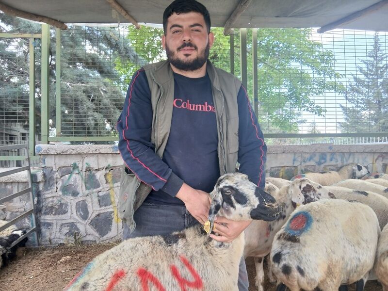 Kurban Pazarı 2