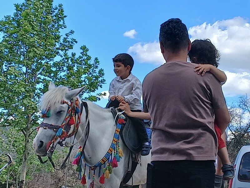 Mi̇dlli̇ Coşkusu At