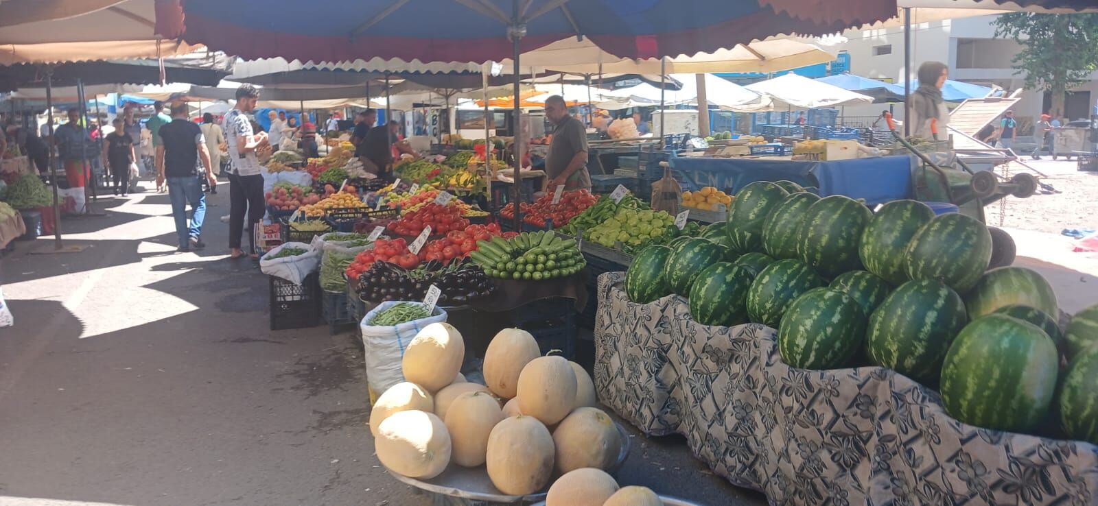 Pazarlar Yaz Meyveleri (3)