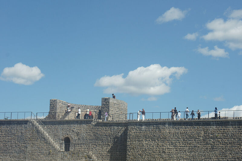 Surlar Tehlikeli (4)