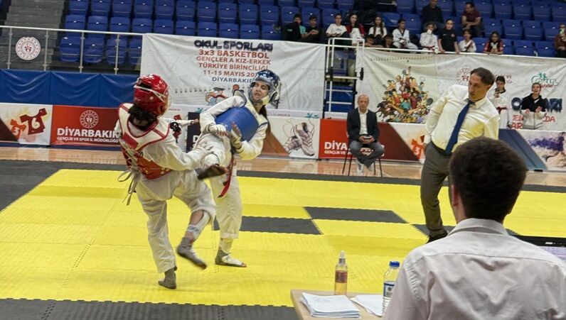 Taekwondo Branş