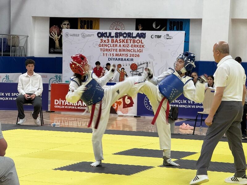 Taekwondo Diyarbakır