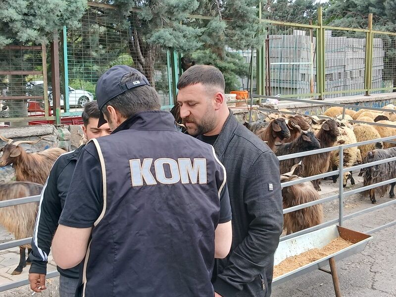 Türkçe Kürtçe Uyardı