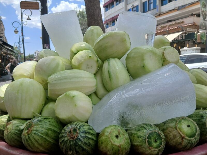 Avokado Kürt
