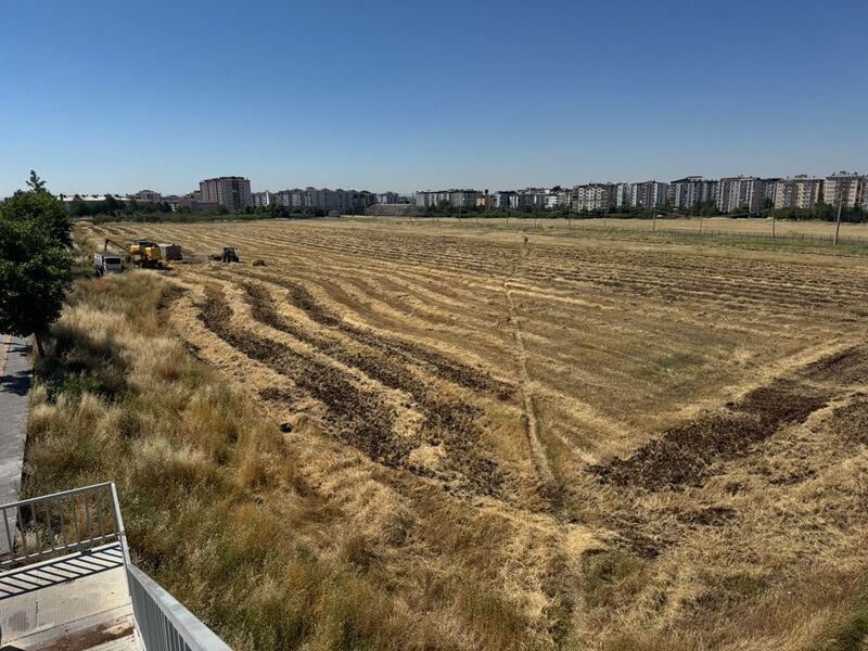 Batikent Buğday