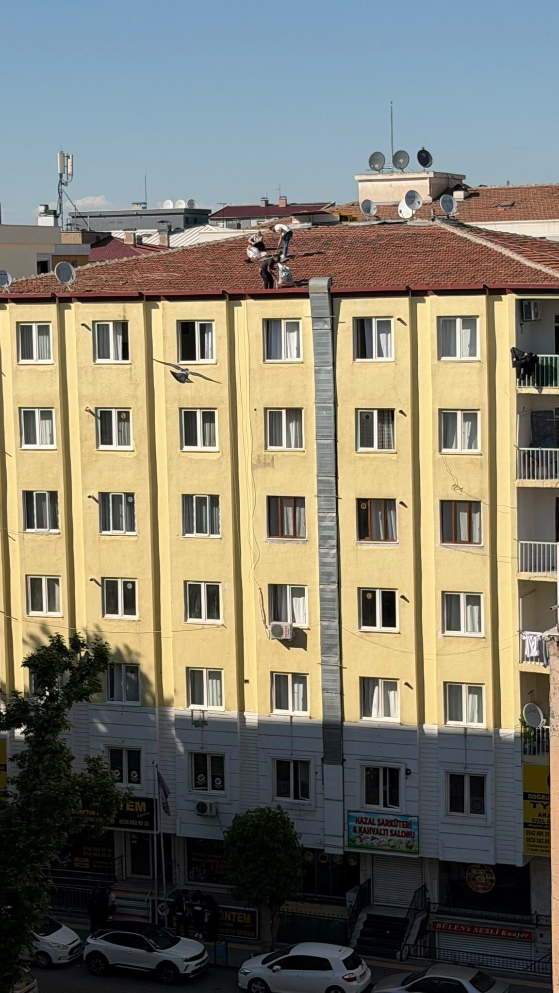 Cati Temizligi