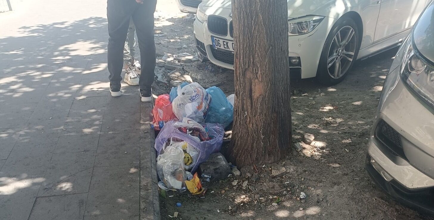 Temizlik (4)