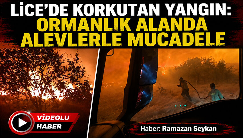 Lice'de Korkutan Yangın: Ormanlık Alanda Alevlerle Mücadele
