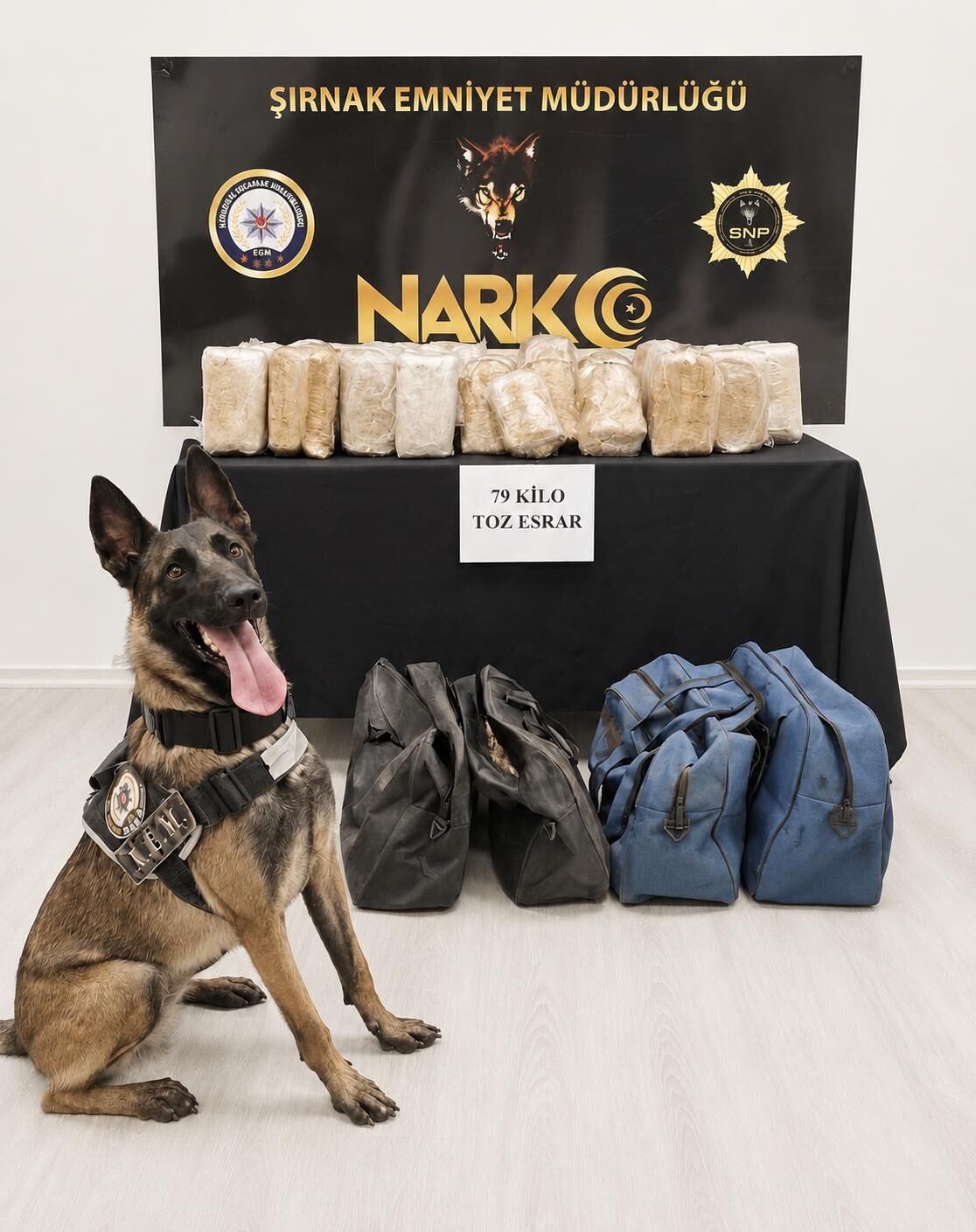 Tırda 79 kilogram esrar ele geçirildi