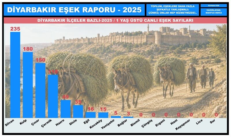 Eşek Raporu