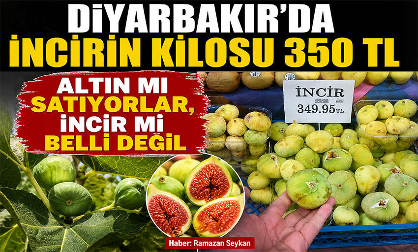 Diyarbakır’da incirin kilosu 350 TL