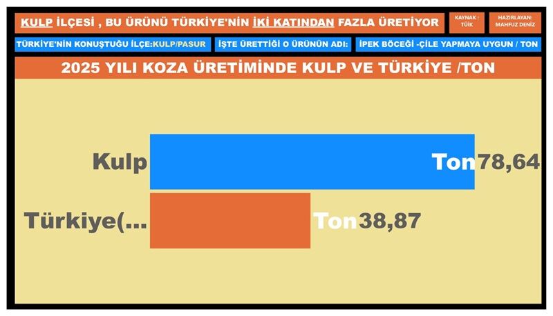 Istatistik Kulp Koza