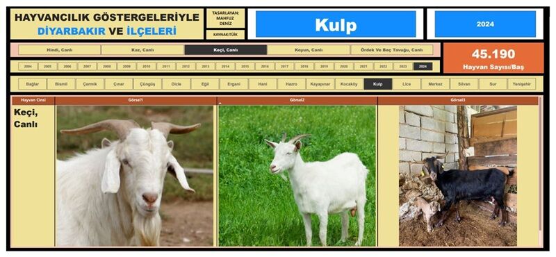 Kulp Hayvancılık