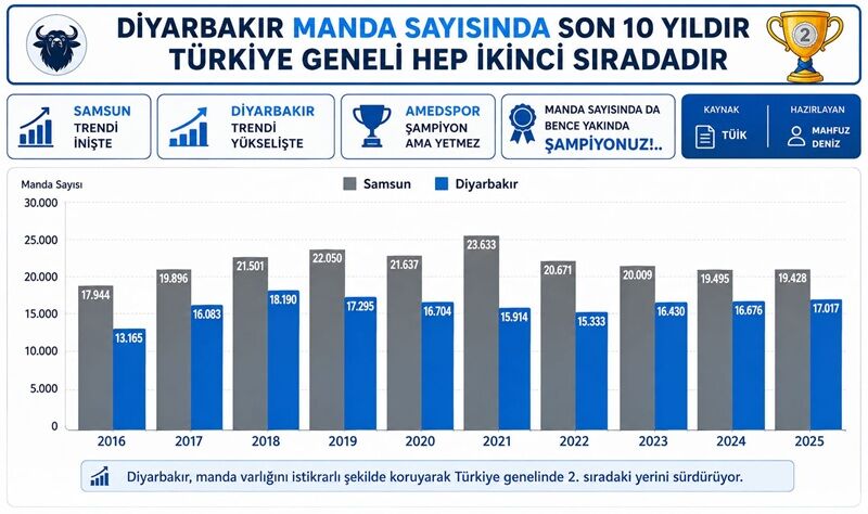 Manda 1.