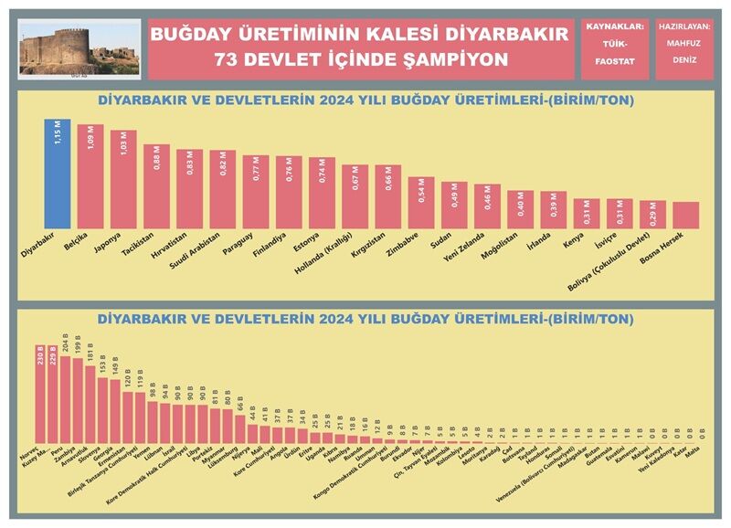 Veri Buğday