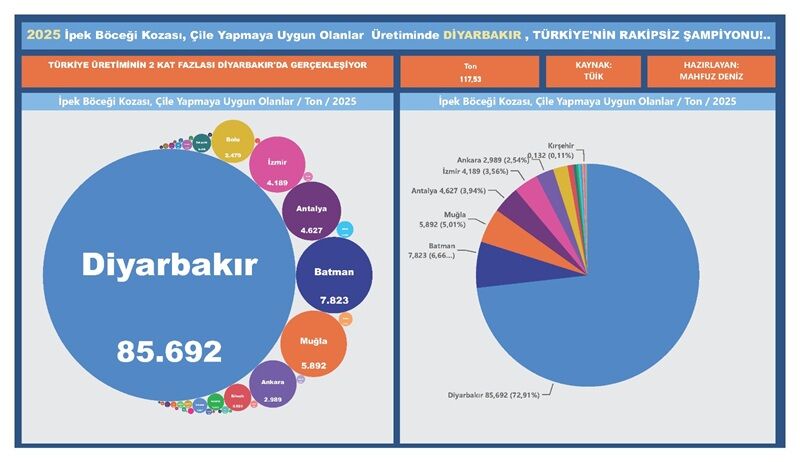Veriler Ipekböcekçiliği