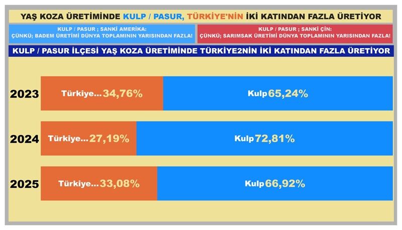 Yaş Koza 2